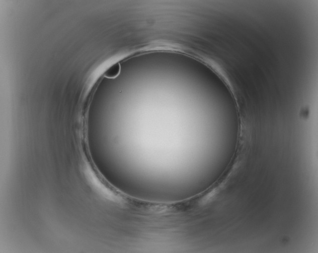 X0000113251003200909171621