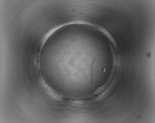 X0000113251004200909171621