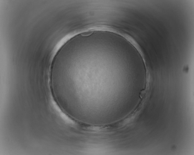 X0000113251005200909171621