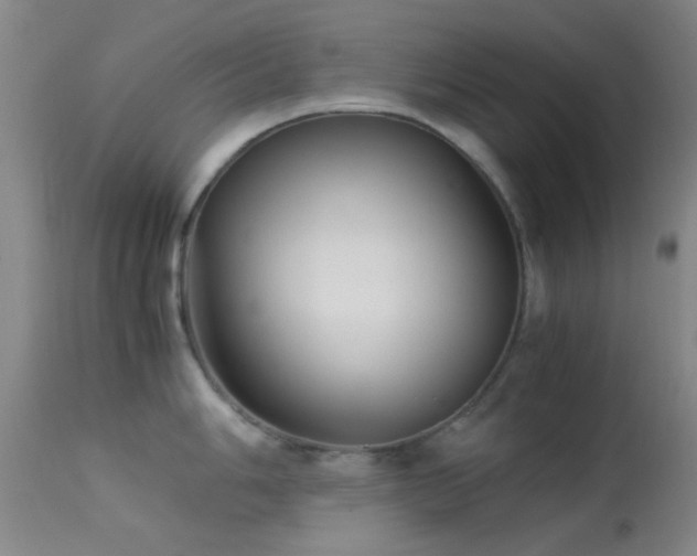 X0000113251006200909171621