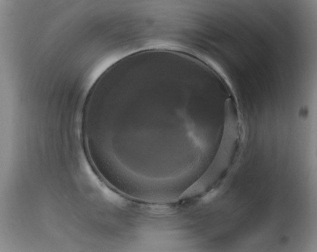 X0000113251007200909171621