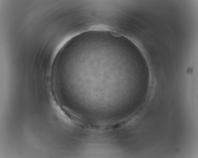 X0000113251008200909171621