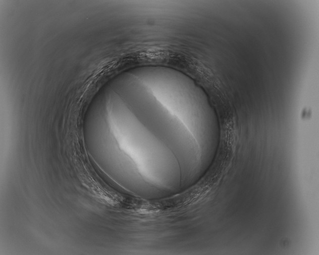 X0000113251009200909171621