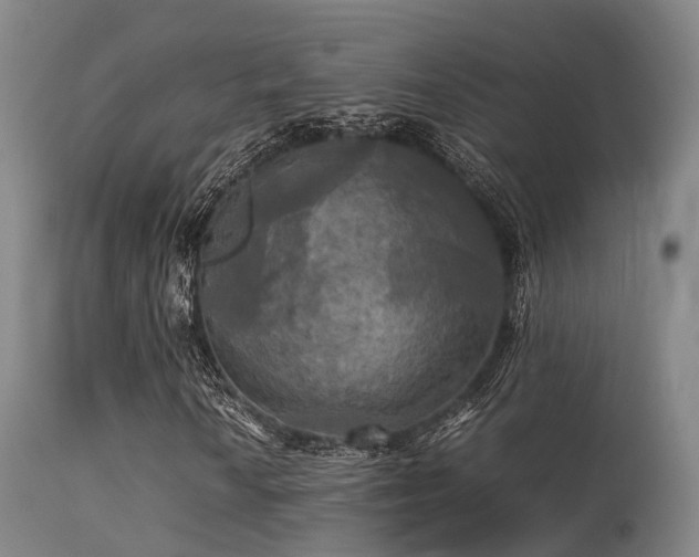 X0000113251010200909171621