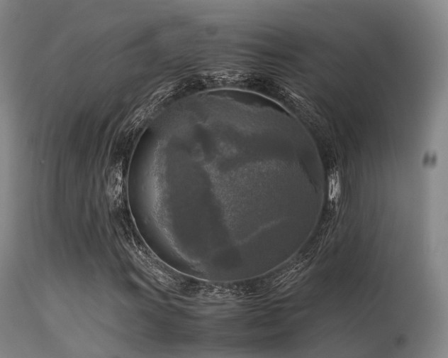 X0000113251011200909171621