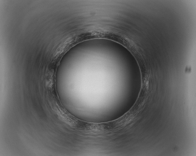 X0000113251012200909171621