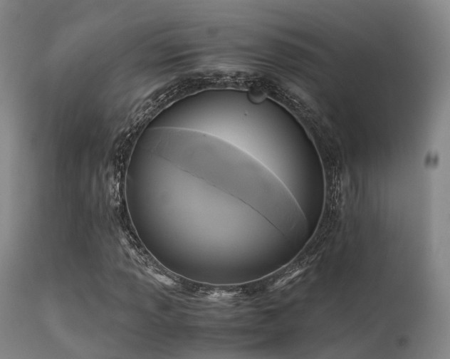 X0000113251013200909171621