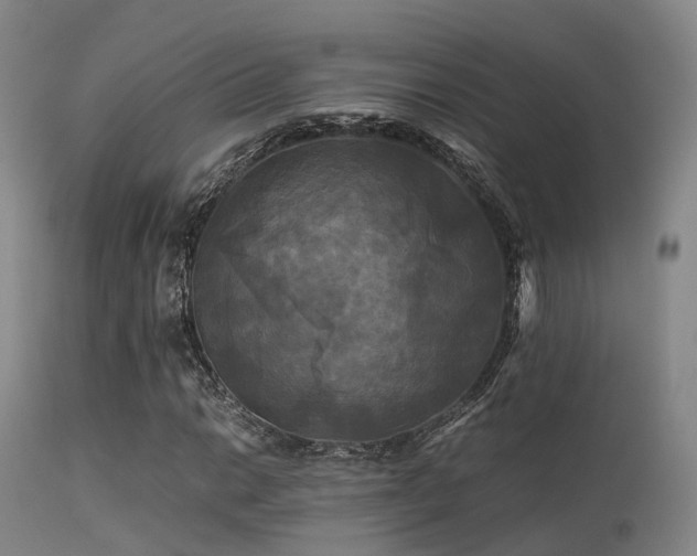 X0000113251014200909171621