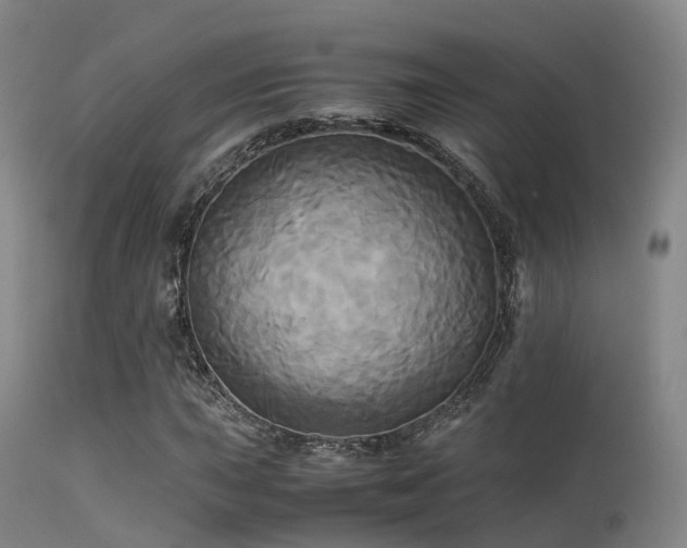 X0000113251015200909171621