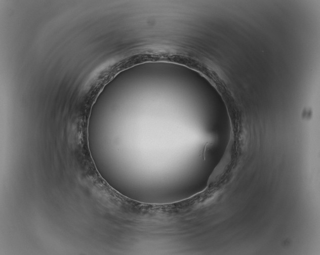 X0000113251016200909171621