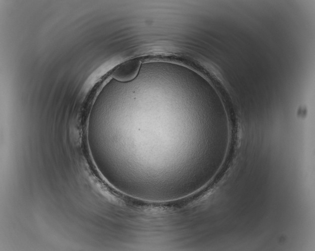 X0000113251018200909171621