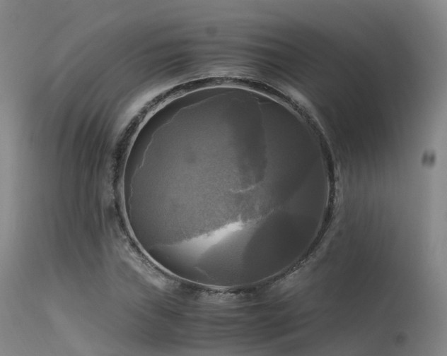 X0000113251019200909171621