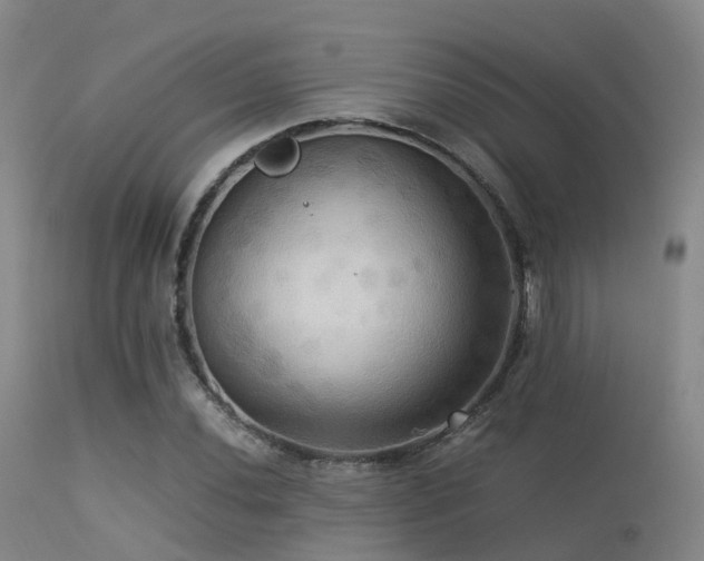 X0000113251020200909171621