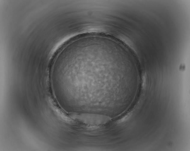 X0000113251021200909171621