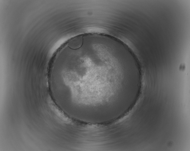 X0000113251022200909171621