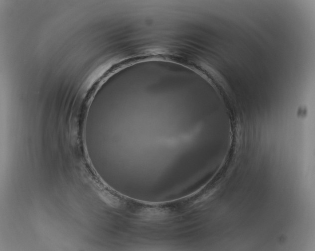 X0000113251023200909171621