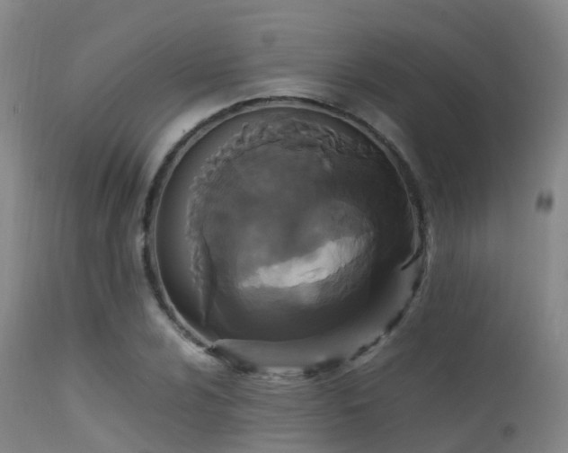 X0000113251024200909171621