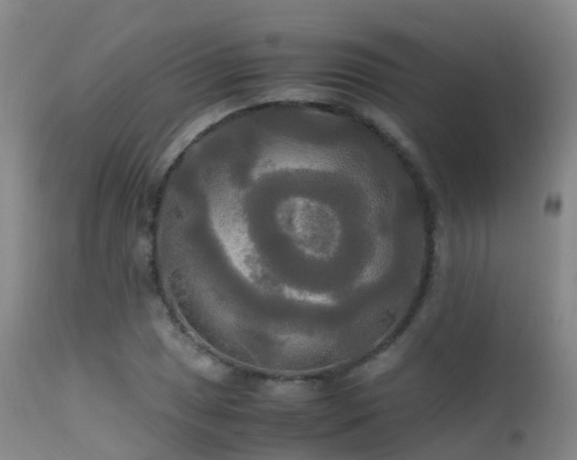 X0000113251025200909171621