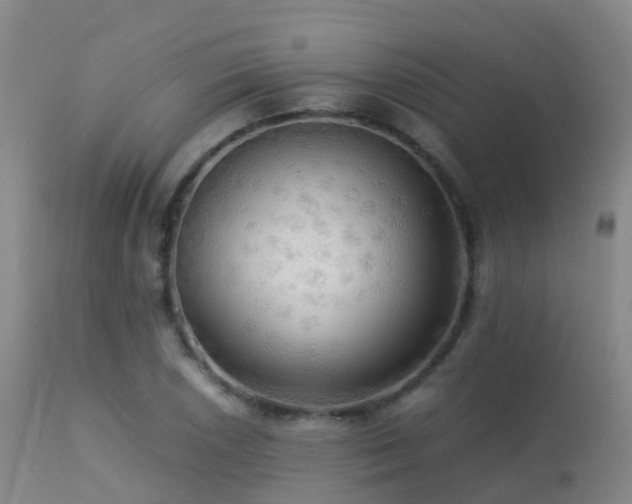 X0000113251026200909171621