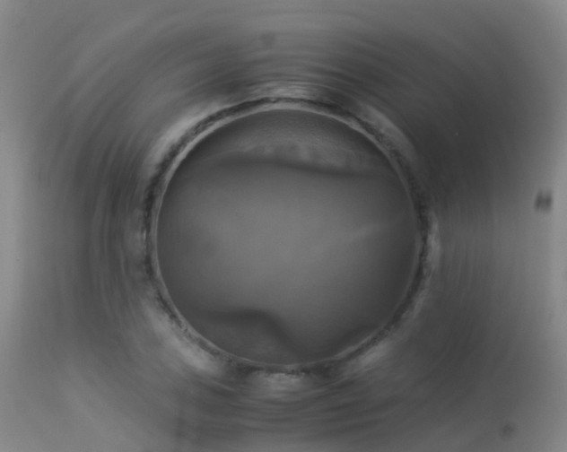 X0000113251027200909171621