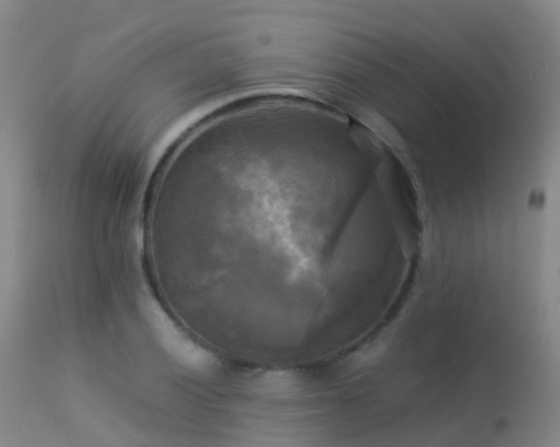 X0000113251028200909171621