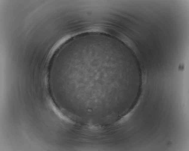 X0000113251029200909171621