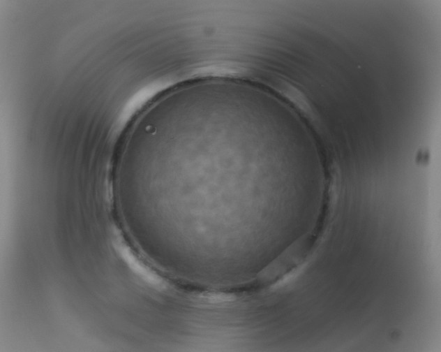 X0000113251030200909171621