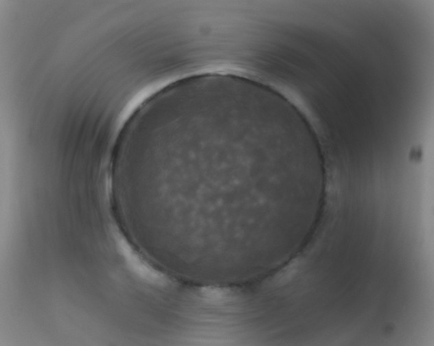 X0000113251032200909171621