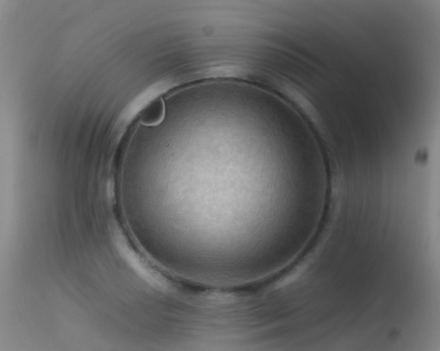 X0000113251034200909171621