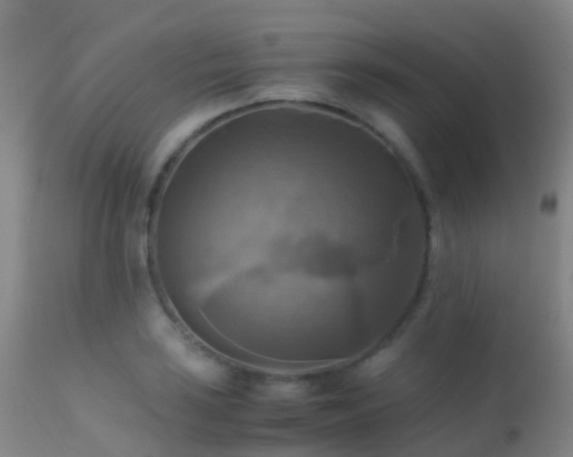 X0000113251035200909171621