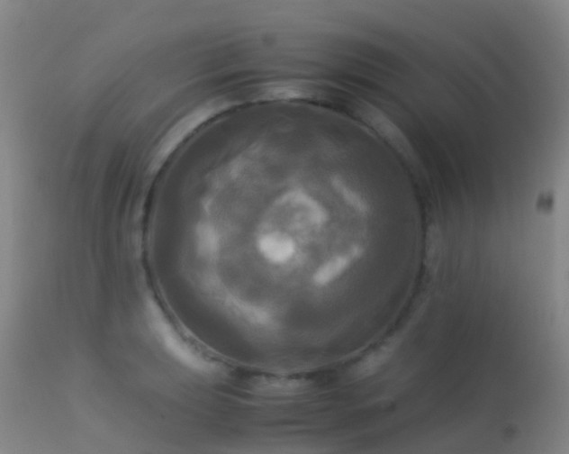 X0000113251039200909171621