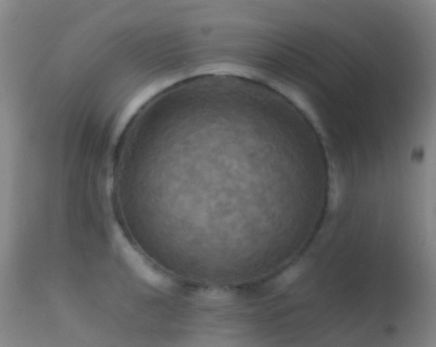 X0000113251040200909171621