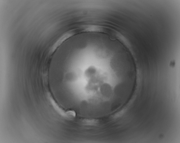 X0000113251041200909171621