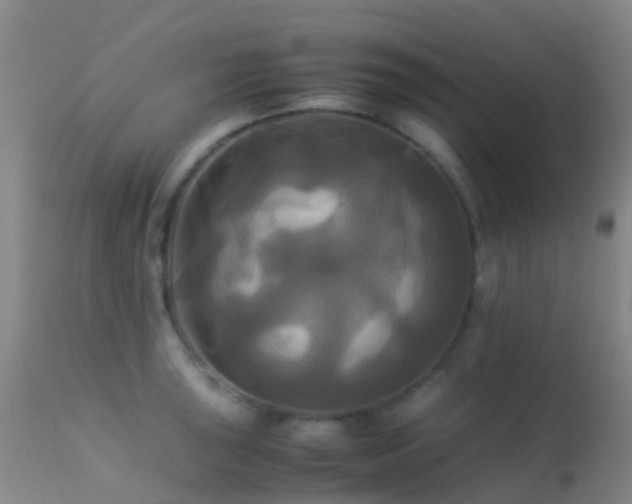 X0000113251043200909171621