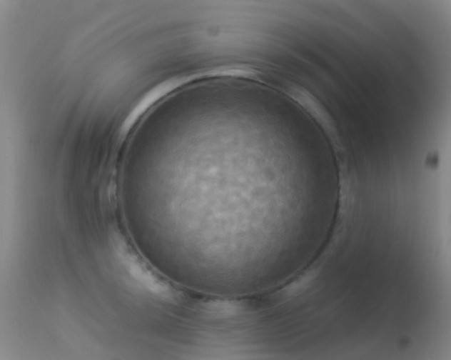 X0000113251044200909171621