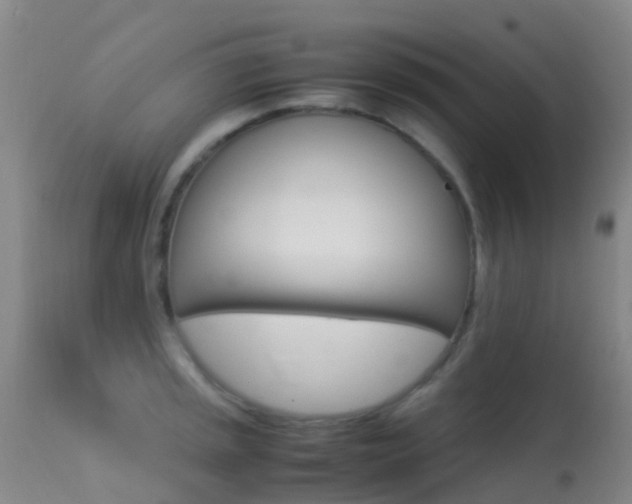 X0000113251045200909171621