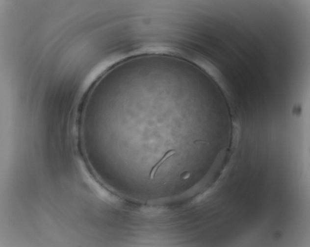 X0000113251046200909171621