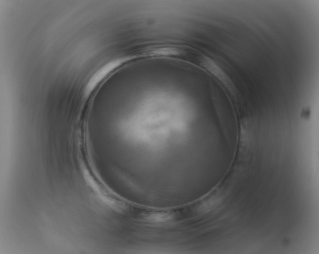 X0000113251047200909171621