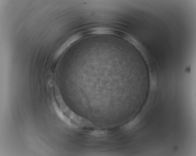 X0000113251049200909171621