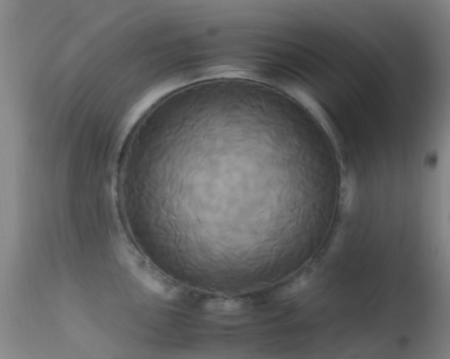 X0000113251051200909171621