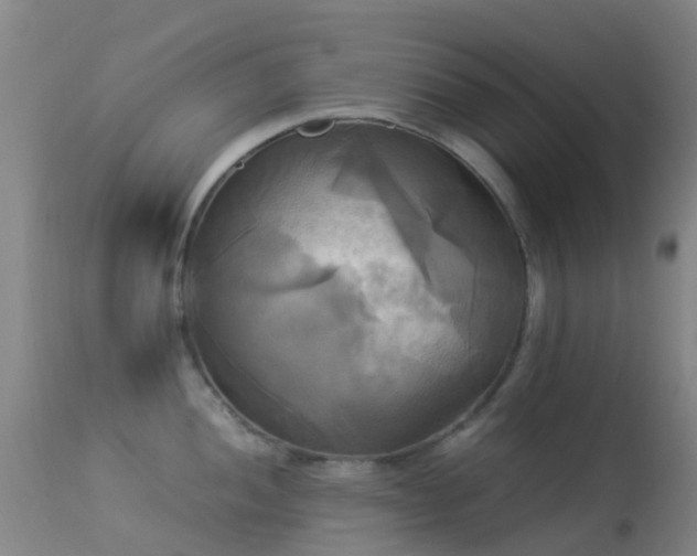 X0000113251052200909171621