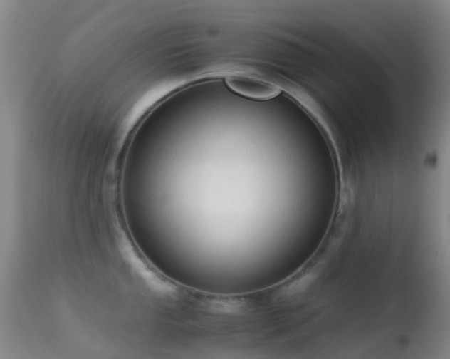 X0000113251053200909171621