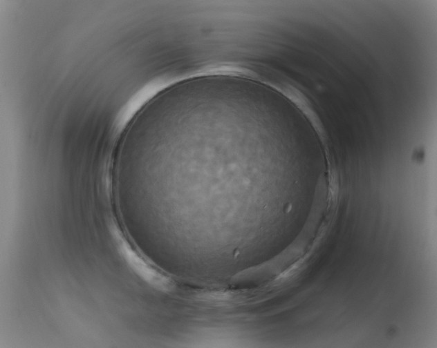 X0000113251054200909171621