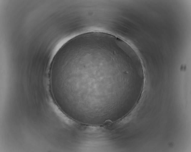 X0000113251056200909171621