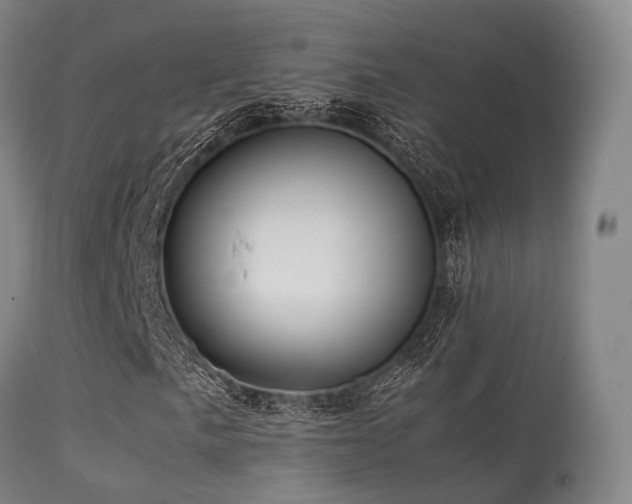 X0000113251057200909171621