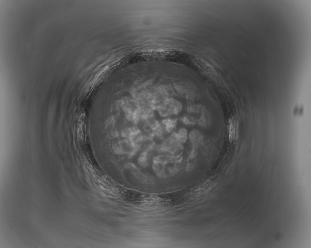 X0000113251059200909171621