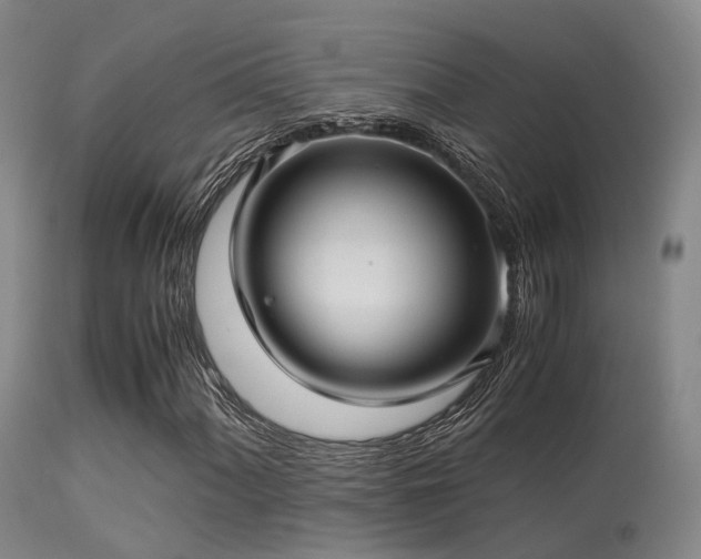 X0000113251060200909171621