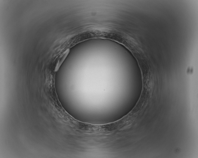 X0000113251061200909171621