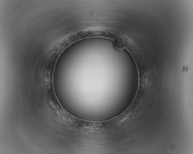 X0000113251062200909171621