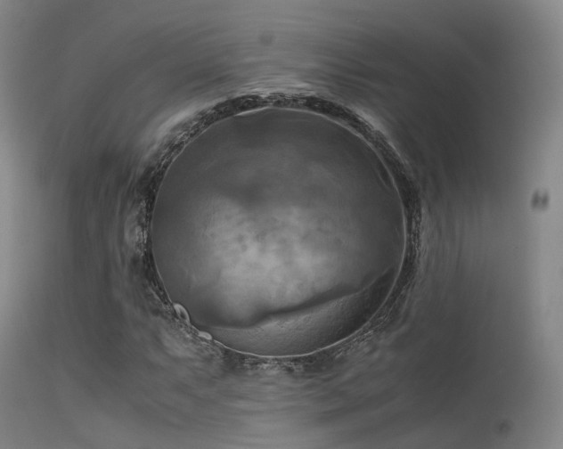 X0000113251063200909171620